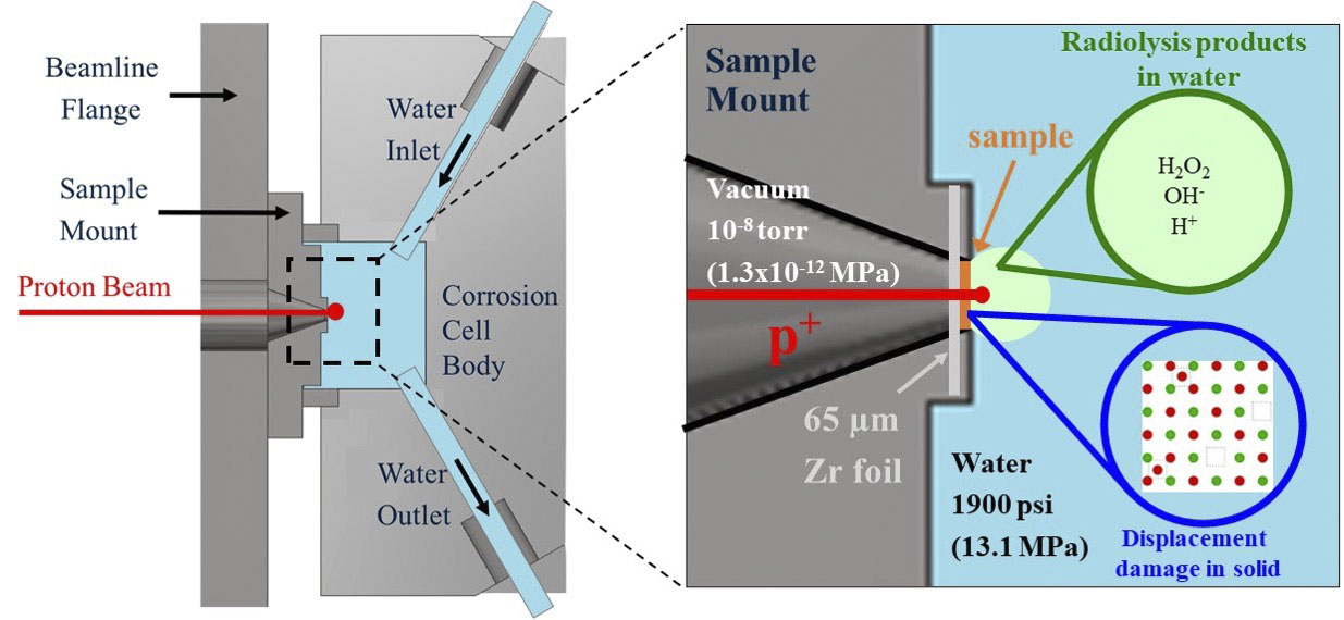 schematic-of-the-IAC-cell